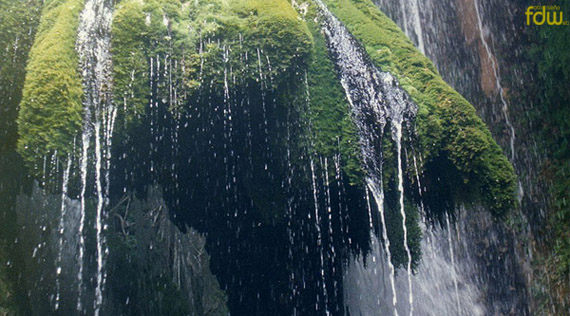 GLPs. Energía limpia