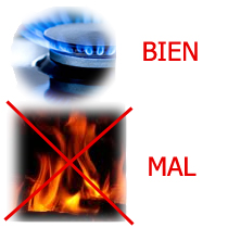 Llama de combustin de gas